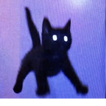 Bat crack :D