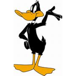 The Duck Obby