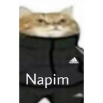 NAPİM KEDİ