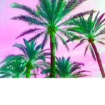Random Chill Vibess