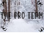 Team The Pro