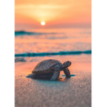 turtle ~ mania