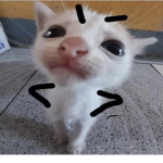 0MBR1