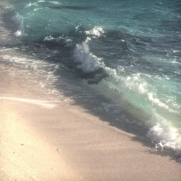 𝜗 ⋆˚🐚˚⋆ 𝜚