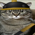 Buildercat studio