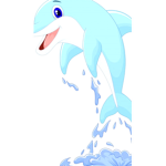 Dolphin studio interactive