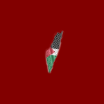 Ham_friend