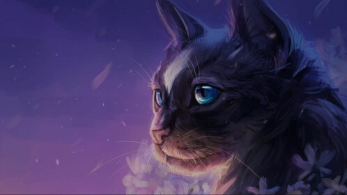 KittyxGalaxyy's Place Number: 1