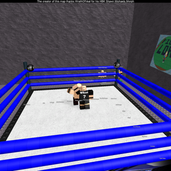 WWE BLOX (Read description)