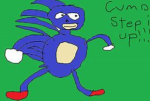 teh sanic team