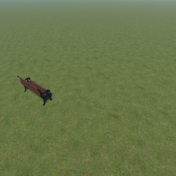 grass