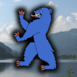 [ NSE ] Buskerud fylke