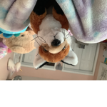 We heart fox’s
