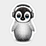 LIl flippers fan group