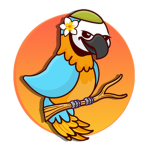 CasualParrot Studios