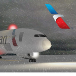 American Airline™