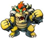 bowser fanz