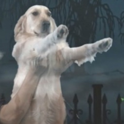 GHOST DOG