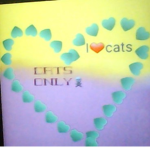 cats better than dogs
