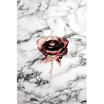 Aesthetics by Piper