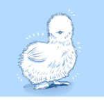 Lil Silkie Chick