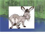 Camp Swamp Donkieee! <3