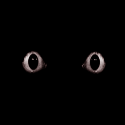 eyes Roblox decal