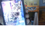 buy if you like cats