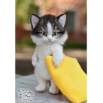 Cats and Cookies :)))