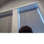 Grays hair