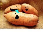 The Yam Legion