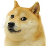 SHIBE INU!