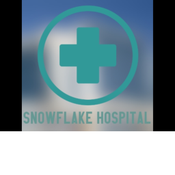 The Roblox Snowflake Hospital