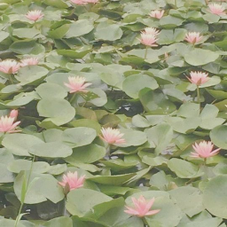 ♡