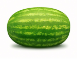 Melon Gang