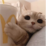 0nlymadiiii’s group