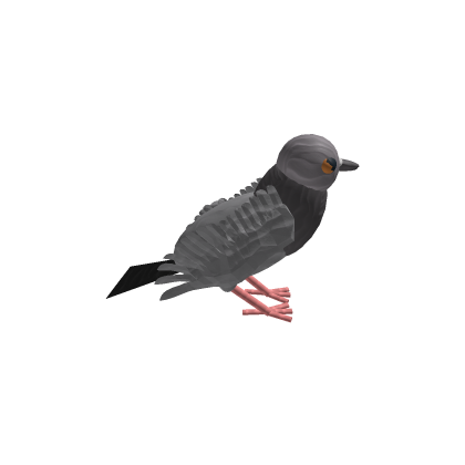 (FREE) rigged pigeon