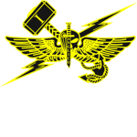 1st ANGLICO