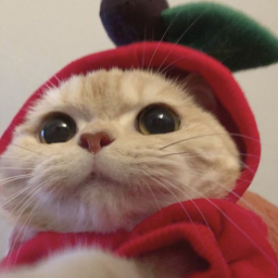 ✄