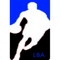 Lethal Basketball Association Park