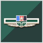 Joint Logistics Support Force