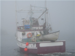 Apollo & Caffrey Fishing Co.