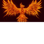 PhoenixKz Studio