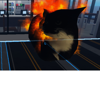 Umm do u like mcdonald