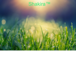 Shakira™