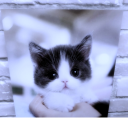 TESTING
