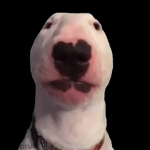 well hello thiis is it