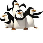 you know it ma dude