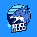 Pr355 Official Gaming Team