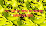 The stinky smelly crusty sandwiches